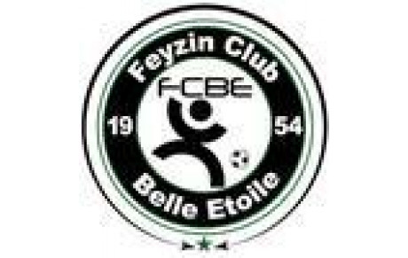 FEYZIN CBE